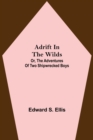 Adrift in the Wilds; Or, The Adventures of Two Shipwrecked Boys - Book