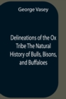 Delineations Of The Ox Tribe The Natural History Of Bulls, Bisons, And Buffaloes. Exhibiting All The Known Species And The More Remarkable Varieties Of The Genus Bos. - Book