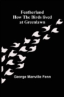 Featherland How the Birds lived at Greenlawn - Book