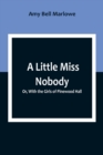 A Little Miss Nobody; Or, With the Girls of Pinewood Hall - Book