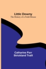 Little Downy : The History of a Field-Mouse - Book