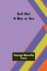Sail Ho! A Boy at Sea - Book