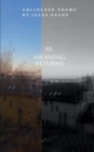 As Meaning Returns - Book