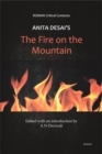 Anita Desai's 'The Fire on the Mountain' (ROMAN Critical Context) - Book