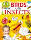 Birds and Insects - Book