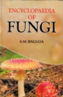 Encyclopaedia Of Fungi - eBook