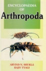 Encyclopaedia of Arthropoda (Origin And Evolution Of Arthropods) - eBook