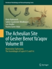 The Acheulian Site of Gesher Benot  Ya'aqov  Volume III : Mammalian Taphonomy. The Assemblages of Layers V-5 and V-6 - eBook