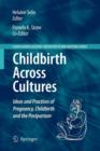 Childbirth Across Cultures : Ideas and Practices of Pregnancy, Childbirth and the Postpartum - Book