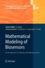 Mathematical Modeling of Biosensors : An Introduction for Chemists and Mathematicians - Book