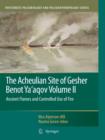 The Acheulian Site of Gesher Benot Ya'aqov Volume II : Ancient Flames and Controlled Use of Fire - Book