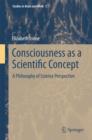 Consciousness as a Scientific Concept : A Philosophy of Science Perspective - eBook