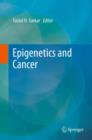 Epigenetics and Cancer - eBook