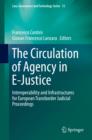 The Circulation of Agency in E-Justice : Interoperability and Infrastructures for European Transborder Judicial Proceedings - eBook