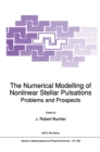 The Numerical Modelling of Nonlinear Stellar Pulsations : Problems and Prospects - eBook