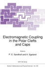 Electromagnetic Coupling in the Polar Clefts and Caps - eBook