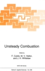 Unsteady Combustion - eBook
