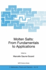 Molten Salts : From Fundamentals to Applications - eBook