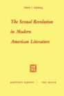 The Sexual Revolution in Modern American Literature - eBook
