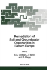 Remediation of Soil and Groundwater : Opportunities in Eastern Europe - Book