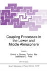 Coupling Processes in the Lower and Middle Atmosphere - eBook