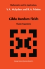 Gibbs Random Fields : Cluster Expansions - eBook