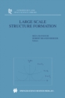 Large Scale Structure Formation - eBook