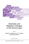 Chemistry and Radiation Changes in the Ozone Layer - eBook
