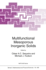 Multifunctional Mesoporous Inorganic Solids - eBook