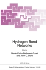 Hydrogen Bond Networks - eBook