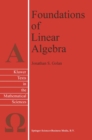 Foundations of Linear Algebra - eBook