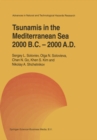 Tsunamis in the Mediterranean Sea 2000 B.C.-2000 A.D. - eBook