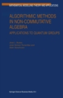 Algorithmic Methods in Non-Commutative Algebra : Applications to Quantum Groups - eBook