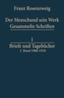 Nonlinear Functional Evolutions in Banach Spaces - Franz Rosenzweig