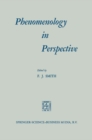 Phenomenology in Perspective - eBook
