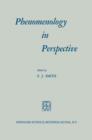 Phenomenology in Perspective - Book