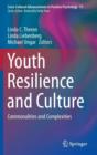 Youth Resilience and Culture : Commonalities and Complexities - Book