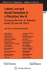 Labour Law and Social Protection in a Globalized World : Changing Realities in Selected Areas of Law and Policy - Book
