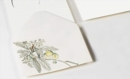 Japanese Art : Envelopes (C6) - Book