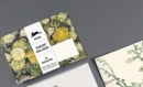 Vincent van Gogh : Envelopes (C6) - Book