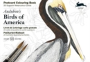 Audubon's Birds of America : Postcard Colouring Book - Book
