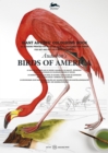 Audubon's Birds of America : Giant Artists' Colouring Book - Book