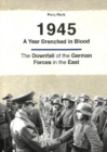 1945 -- A Year Drenched in Blood : The Downfall of the German Forces in the East - Book