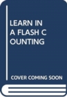 Learn in a Flash Counting - Book