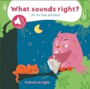 Animals at Night (What Sounds Right) - Book