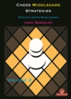 Chess Middlegame Strategies Volume 2 : Opening meets Middlegame - Book