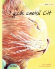 I gcas cneisii Cit : Irish Edition of The Healer Cat - Book