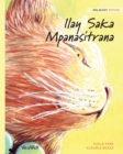 Ilay Saka Mpanasitrana : Malagasy Edition of The Healer Cat - Book