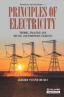 Principles of Electricity : Theory, practice and solved and proposed exercises - Book