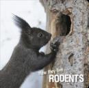 How they live... Rodents - eBook